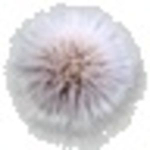 Meet your Posher, Caitlyn